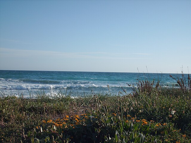 Spiaggia di Lido Marini
